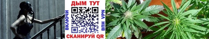 закладка  Новоалександровск  Бошки Шишки LSD WEED 